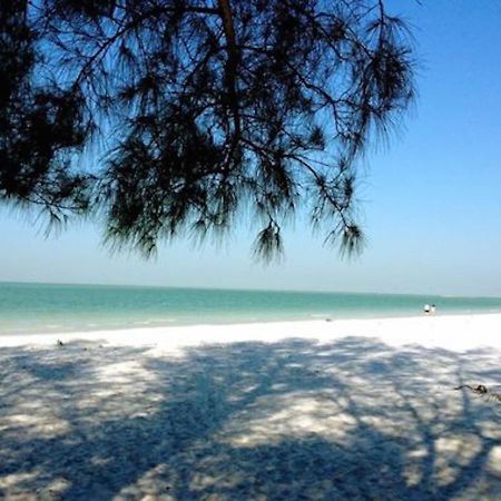Affordable Beach Condos - One Bedroom Dlx Condos St. Pete Beach Exteriör bild