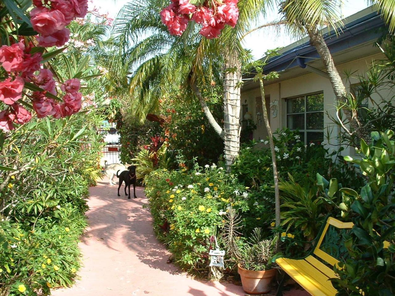 Affordable Beach Condos - One Bedroom Dlx Condos St. Pete Beach Exteriör bild