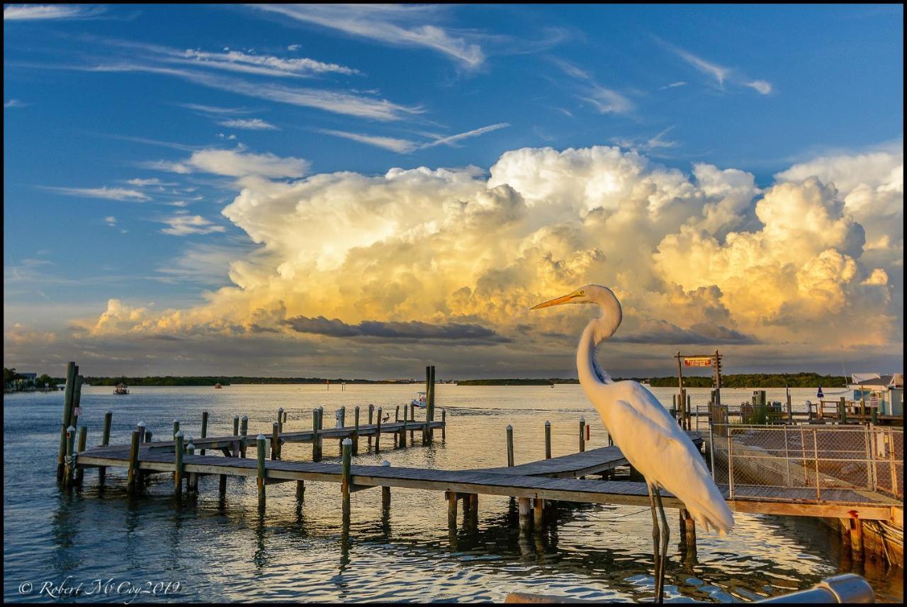 Affordable Beach Condos - One Bedroom Dlx Condos St. Pete Beach Exteriör bild